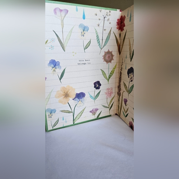 How To Be A Wildflower. A Field guide by Katie Daisy (Hard Cover Book) - Picture 3 of 8